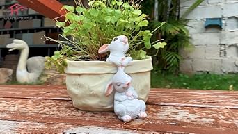 Amazon.com : WONDHOME Rabbit Flower Pot Succulent Planter